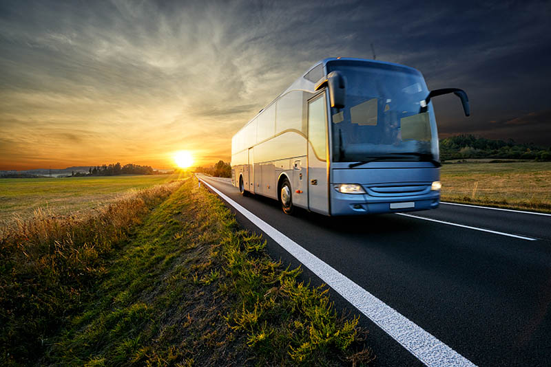Location de minibus, Ducos