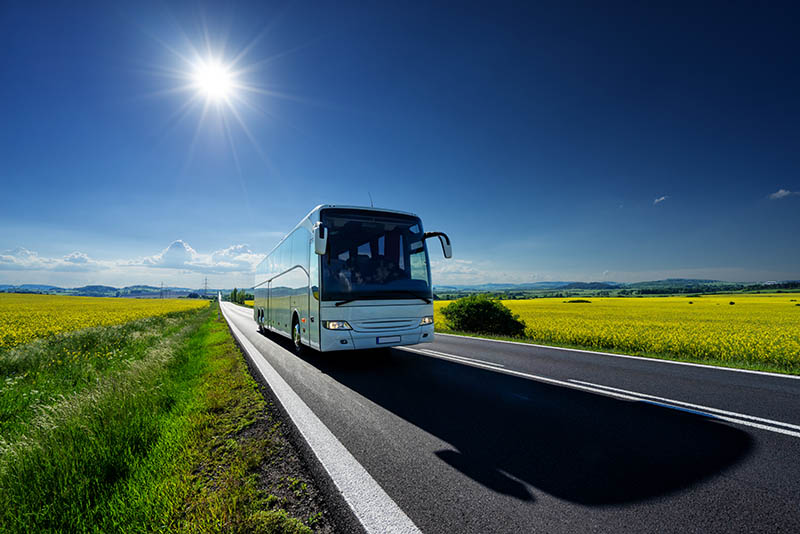 Bus touriste à Fort-de-France