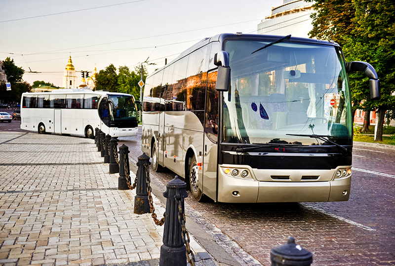 Bus touriste au Lamentin